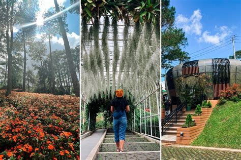 baguio botanical garden directory|Botanical Garden Baguio City Travel Guide .